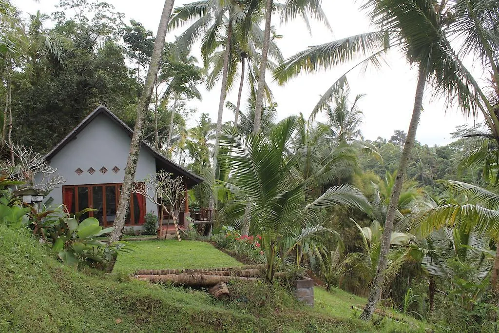 The Desa Private Pool Villa