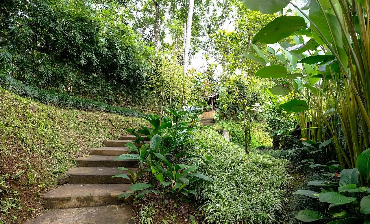 The Desa Private Pool Villa
